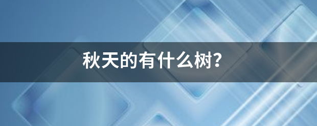 秋天的有什么树？