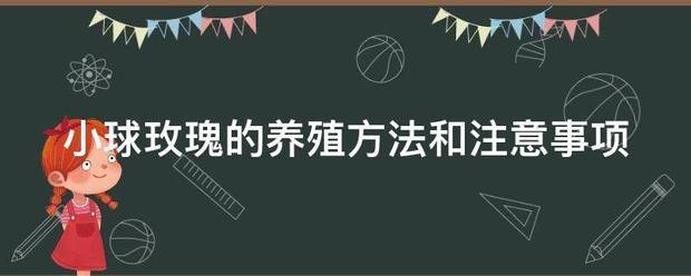 小球玫瑰的养殖方法和注意事项