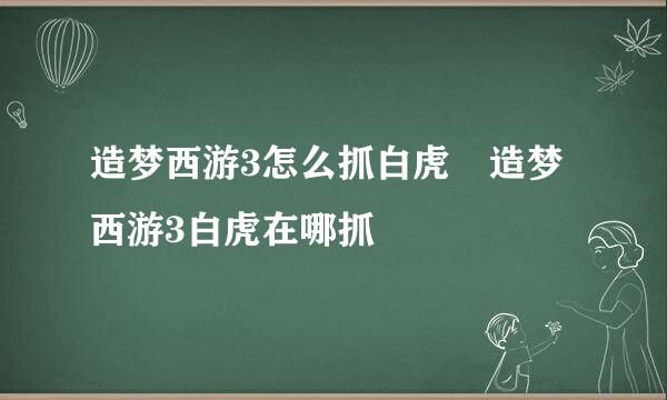 造梦西游3怎么抓白虎 造梦西游3白虎在哪抓