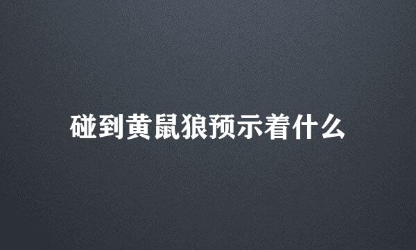 碰到黄鼠狼预示着什么