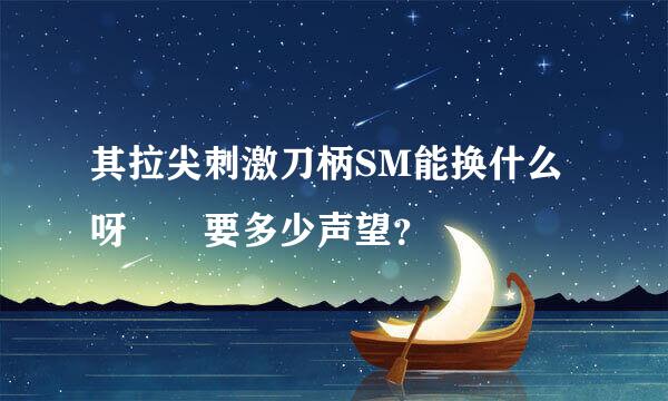 其拉尖刺激刀柄SM能换什么呀  要多少声望？