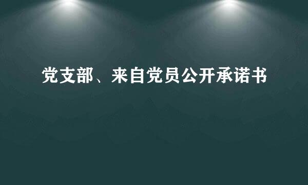 党支部、来自党员公开承诺书