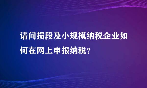 请问损段及小规模纳税企业如何在网上申报纳税？