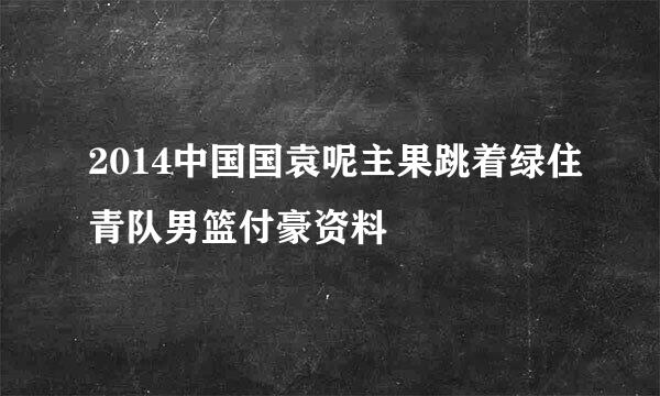 2014中国国袁呢主果跳着绿住青队男篮付豪资料