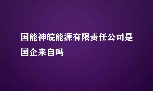 国能神皖能源有限责任公司是国企来自吗