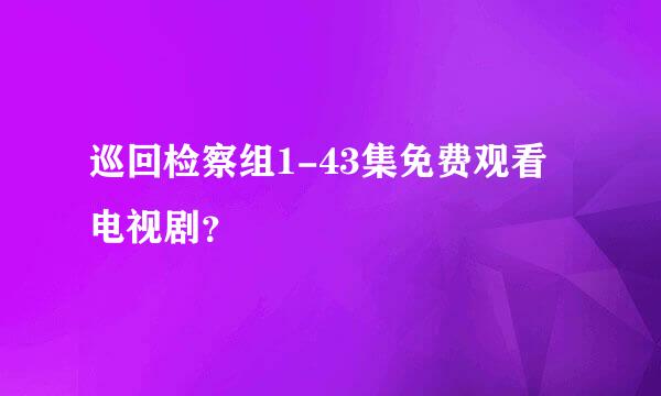 巡回检察组1-43集免费观看电视剧？