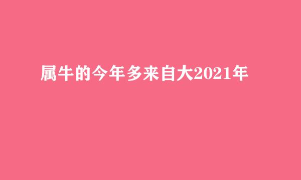 属牛的今年多来自大2021年