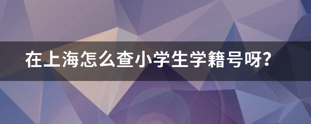 在上海怎么查小学以生学籍号呀？