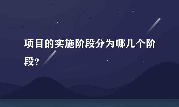 项目的实施阶段分为哪几个阶段？