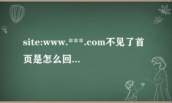 site:www.***.com不见了首页是怎么回事尼来自