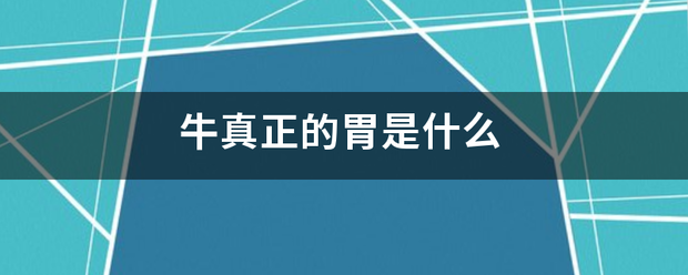 牛真正的胃是什么