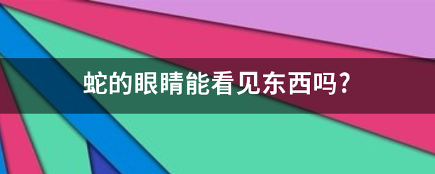 蛇的眼睛能看见东西吗?