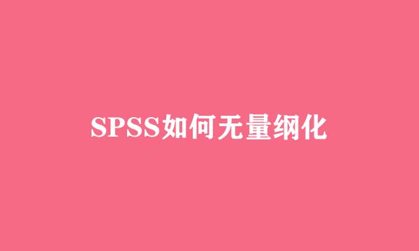 SPSS如何无量纲化