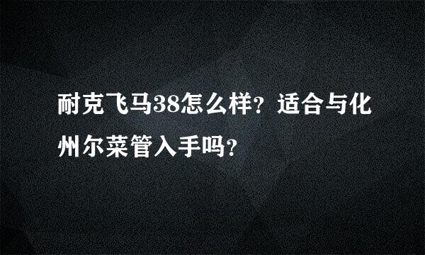 耐克飞马38怎么样？适合与化州尔菜管入手吗？