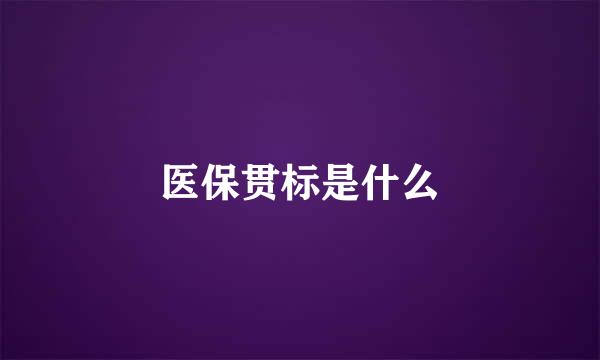 医保贯标是什么