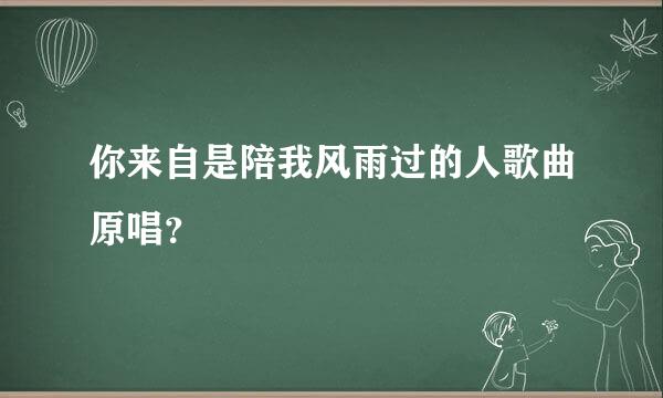 你来自是陪我风雨过的人歌曲原唱？