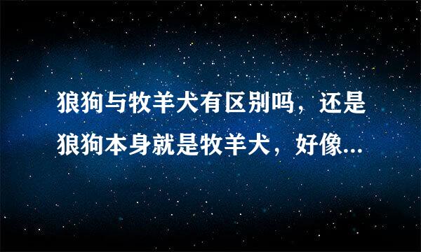 狼狗与牧羊犬有区别吗，还是狼狗本身就是牧羊犬，好像长得来自有点差不多