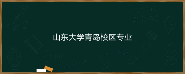 山大青岛校区有哪些专业