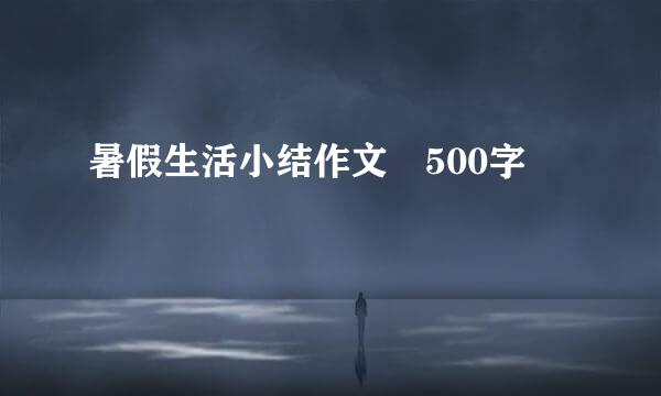 暑假生活小结作文 500字