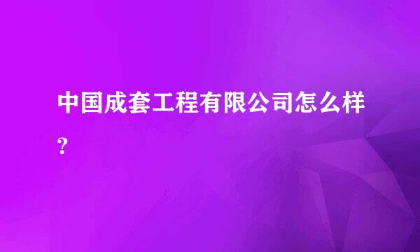 中国成套工程有限公司怎么样？