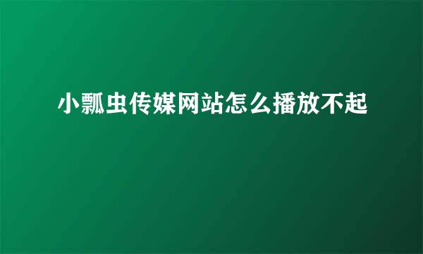 小瓢虫传媒网站怎么播放不起