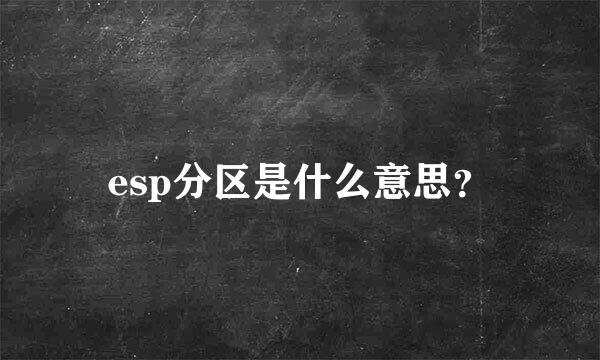 esp分区是什么意思？