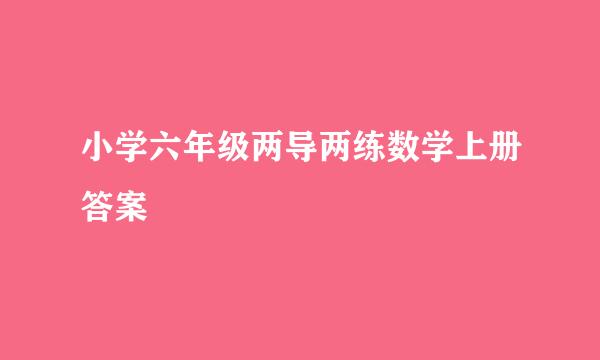 小学六年级两导两练数学上册答案