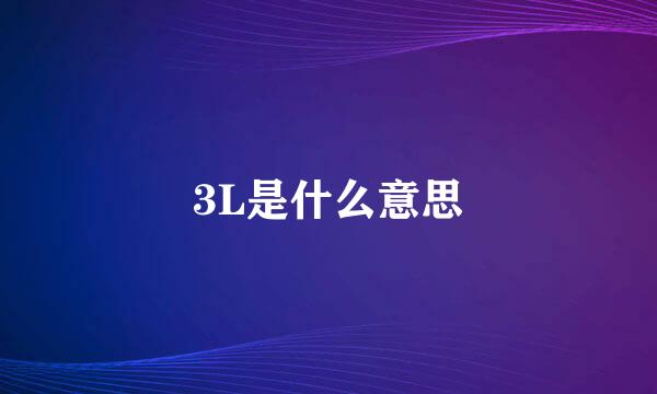 3L是什么意思