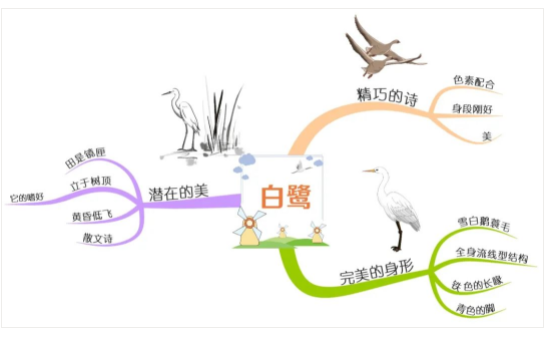 五年级上册语文第二单元思维导图简单