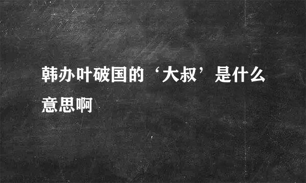 韩办叶破国的‘大叔’是什么意思啊