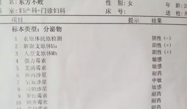 解脲来自支原体是什么