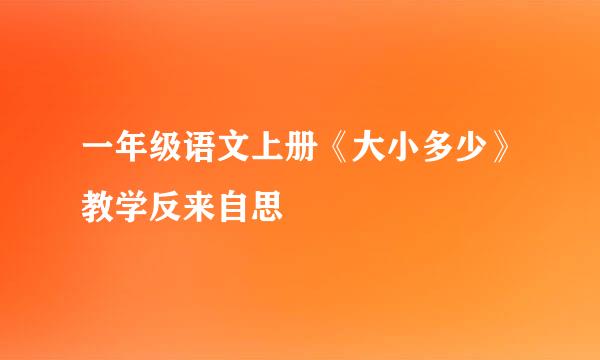 一年级语文上册《大小多少》教学反来自思