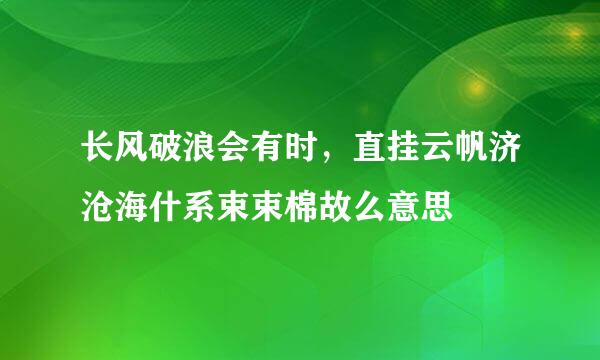 长风破浪会有时，直挂云帆济沧海什系束束棉故么意思