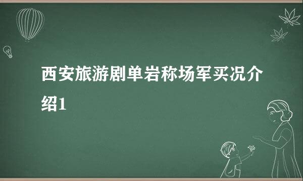 西安旅游剧单岩称场军买况介绍1