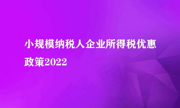 小规模纳税人企业所得税优惠政策2022