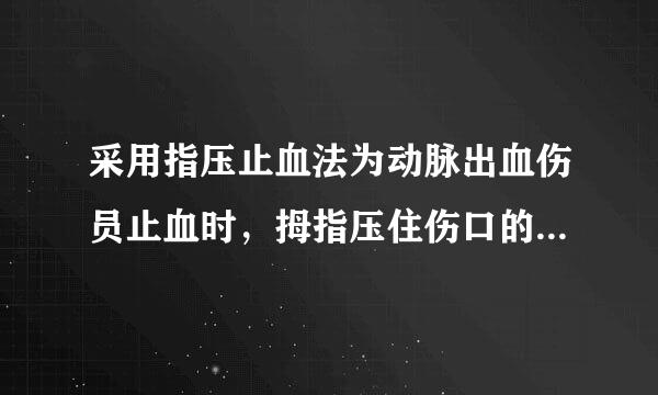 采用指压止血法为动脉出血伤员止血时，拇指压住伤口的什么位置？