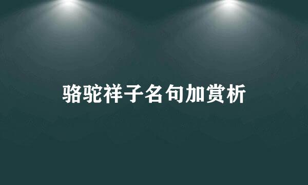 骆驼祥子名句加赏析