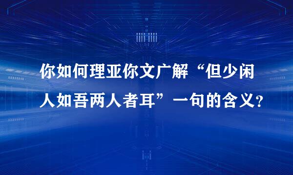 你如何理亚你文广解“但少闲人如吾两人者耳”一句的含义？