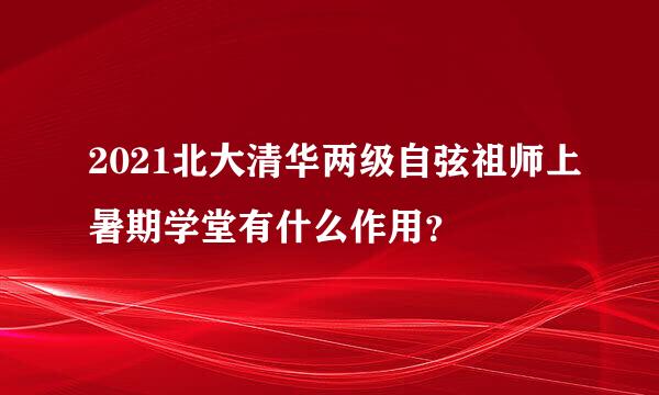 2021北大清华两级自弦祖师上暑期学堂有什么作用？