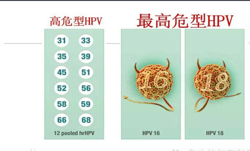 hpv16阳性是什么意思