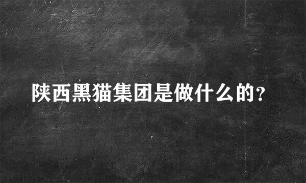 陕西黑猫集团是做什么的？