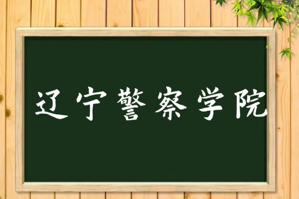 辽宁省警察学院2022分数线