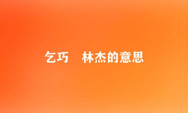 乞巧 林杰的意思