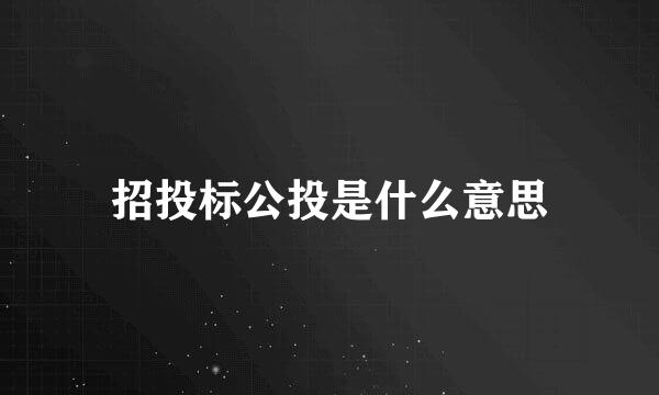 招投标公投是什么意思