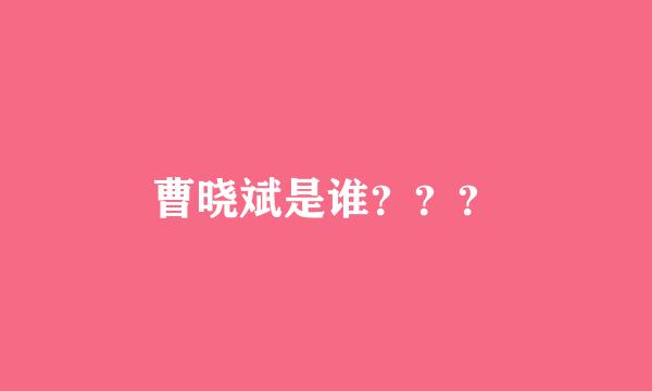 曹晓斌是谁？？？