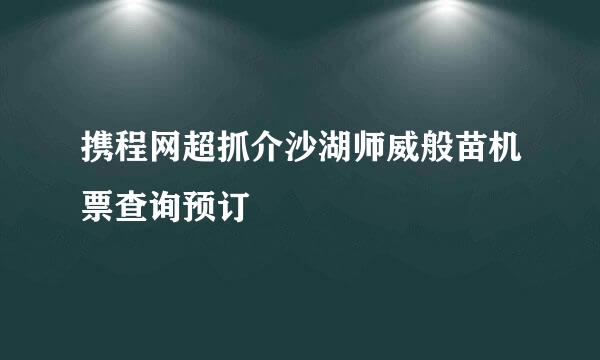 携程网超抓介沙湖师威般苗机票查询预订