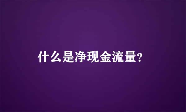 什么是净现金流量？