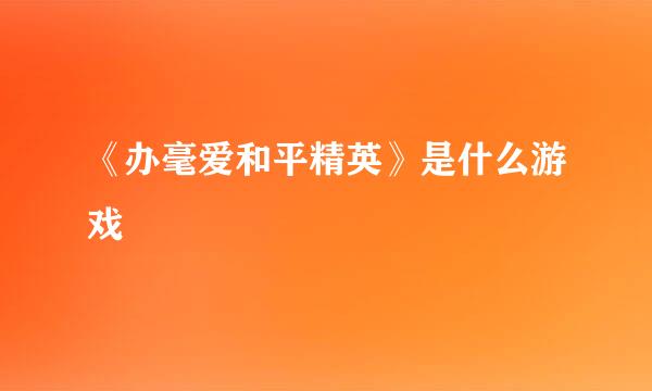 《办毫爱和平精英》是什么游戏