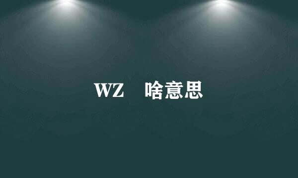 WZ 啥意思