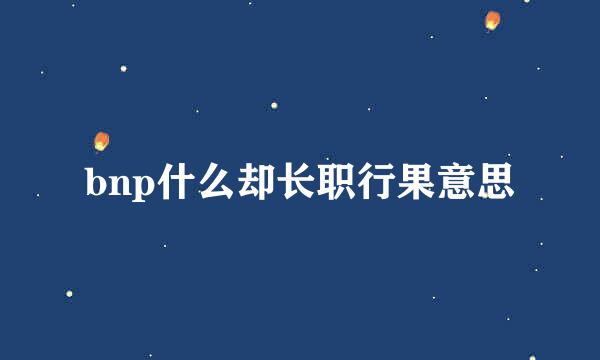 bnp什么却长职行果意思